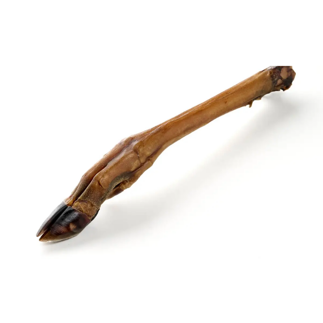 Jambe de chevreuil