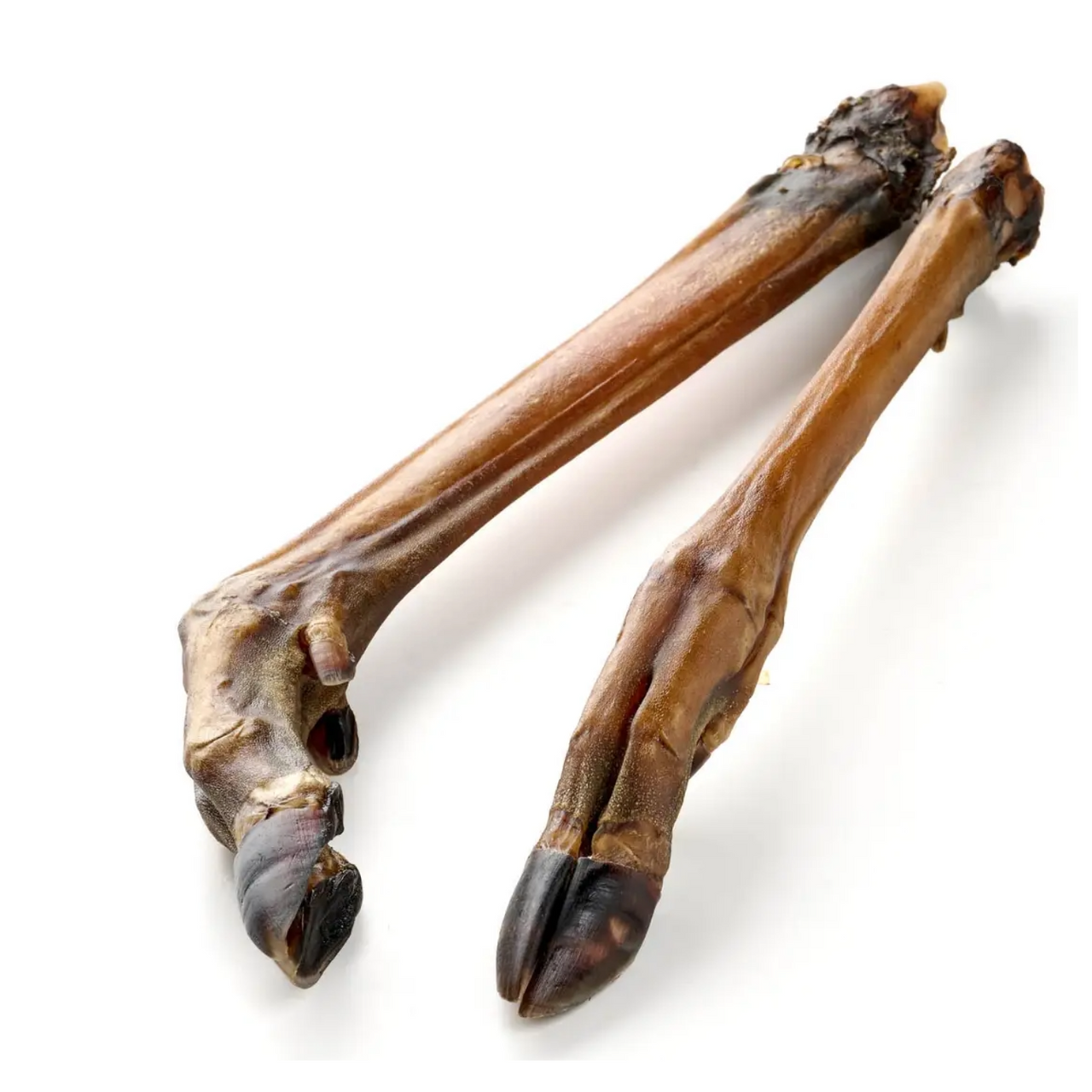Jambe de chevreuil