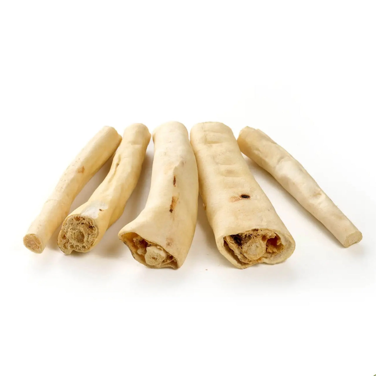 Queue de bœuf (Petite taille)