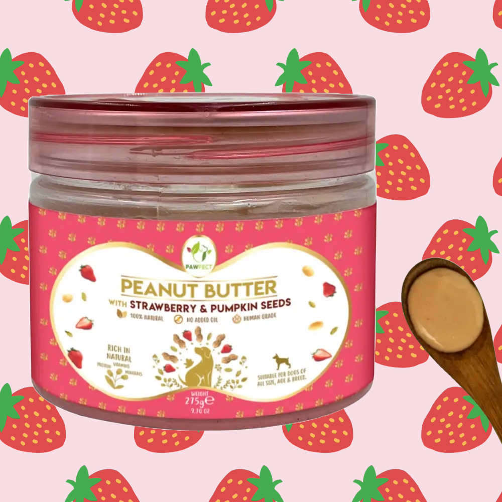 Beurre de cacahuète pour chiens : fraise et graines citrouille