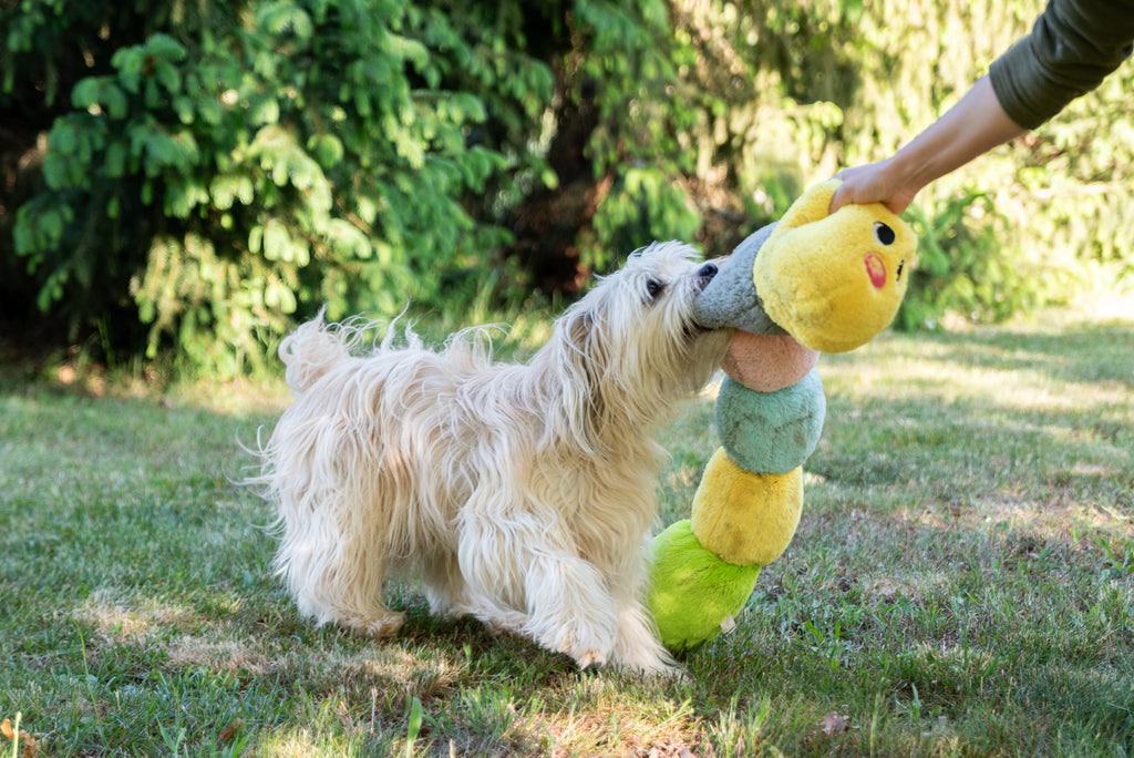 Jouet Peluche "Chenille Arc-en-Ciel" pour Chiens