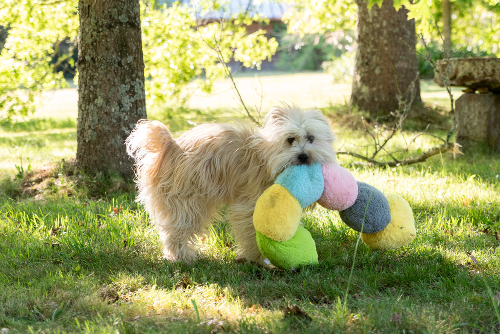 Jouet Peluche "Chenille Arc-en-Ciel" pour Chiens