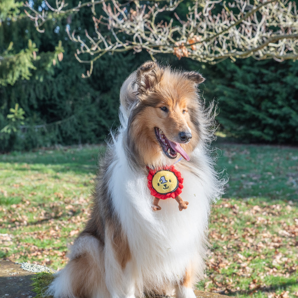 Jouet Peluche Médaille "N°1" pour Chiens