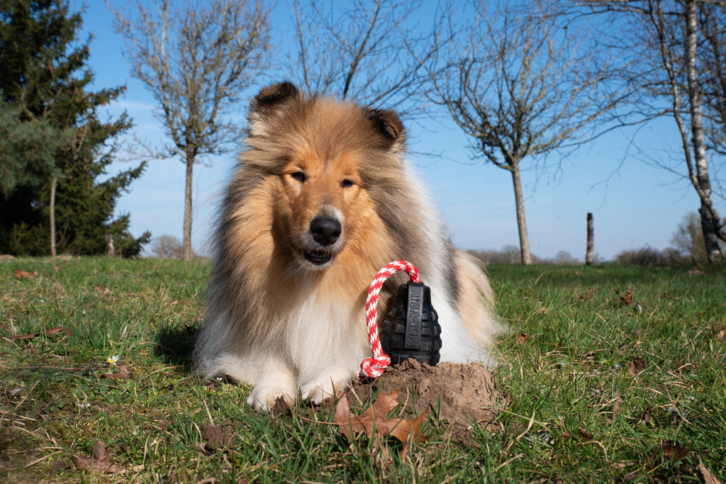 USA-K9 Magnum Grenade -Noir Le Jouet Résistant pour Chiens Énergiques