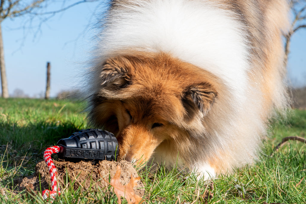 USA-K9 Magnum Grenade -Noir Le Jouet Résistant pour Chiens Énergiques