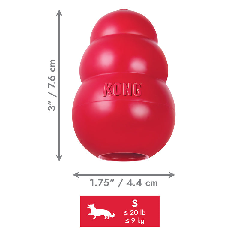 KONG Classic pour chien