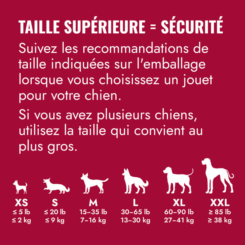 KONG Classic pour chien