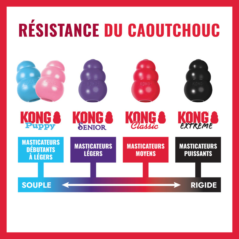 KONG Classic pour chien