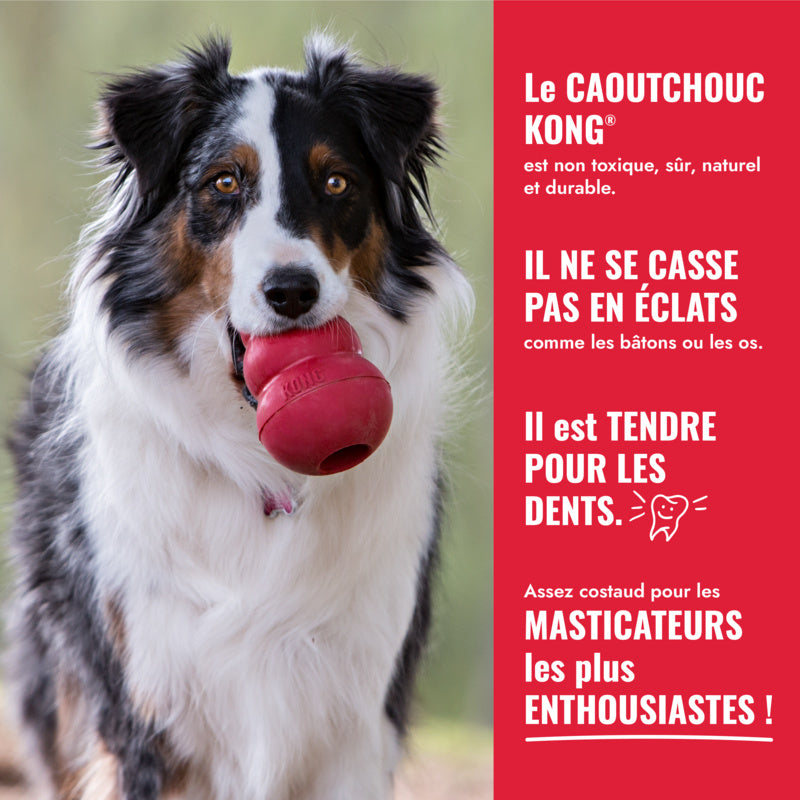 KONG Classic pour chien