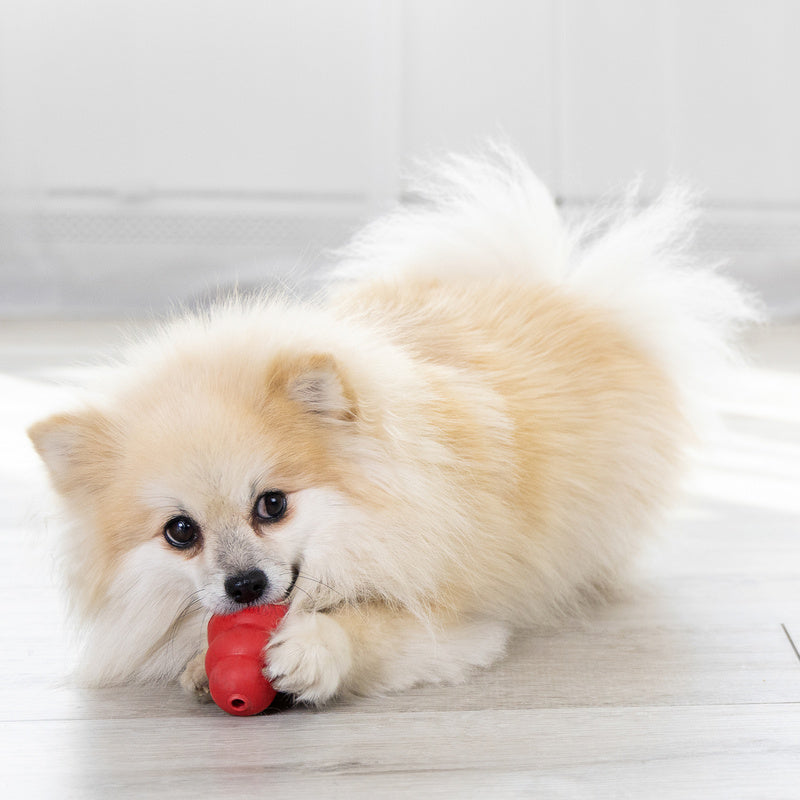 KONG Classic pour chien