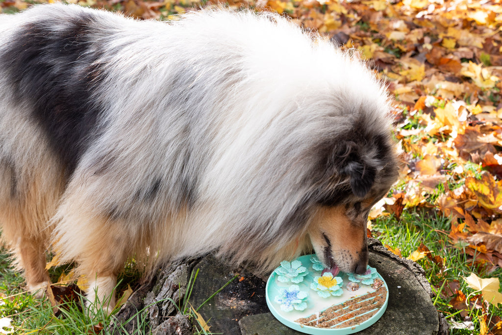 Tapis de léchage en forme de fleurs