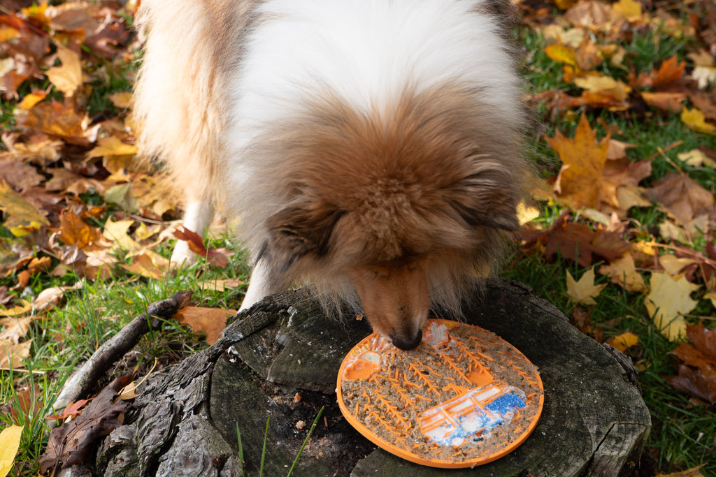 Tapis de Léchage "Adventure Pup"