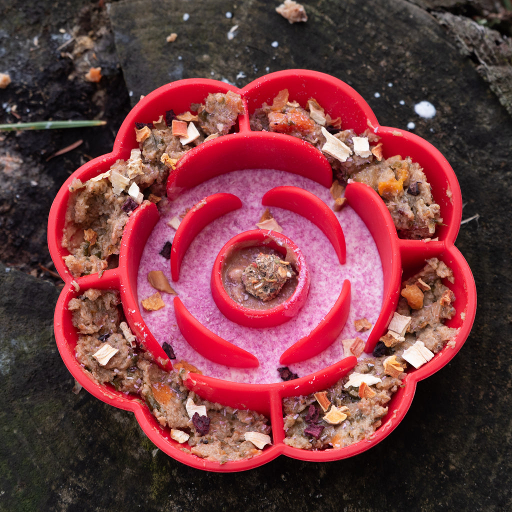 Gamelle Anti-Glouton en Forme de Rose