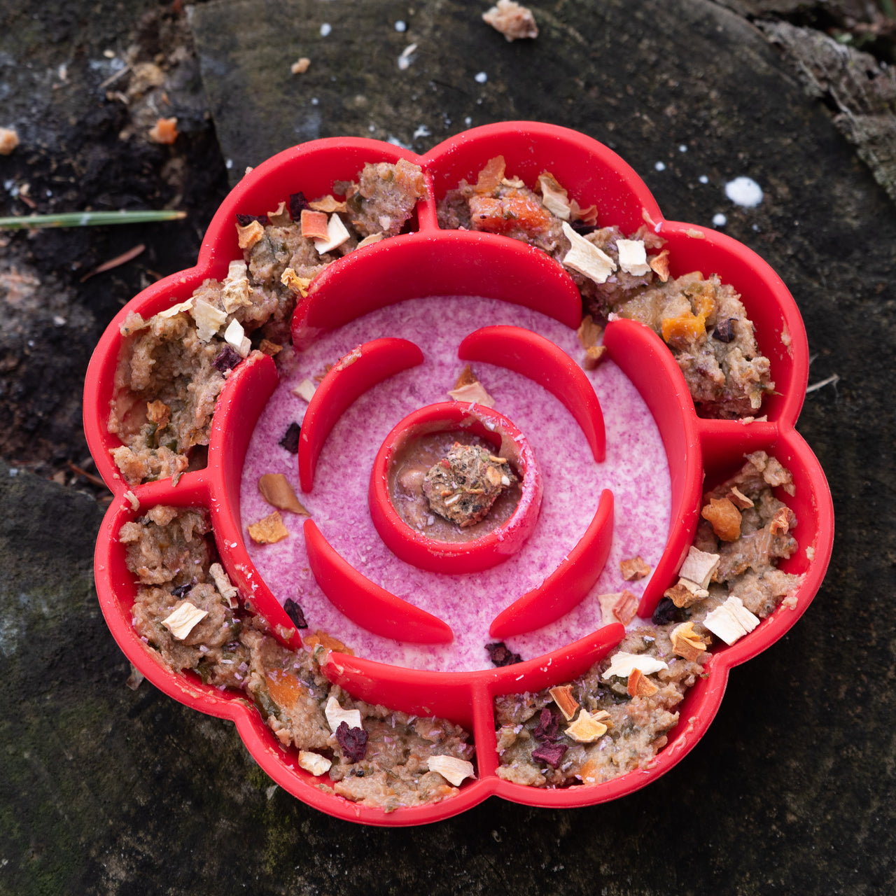 Gamelle Anti-Glouton en Forme de Rose