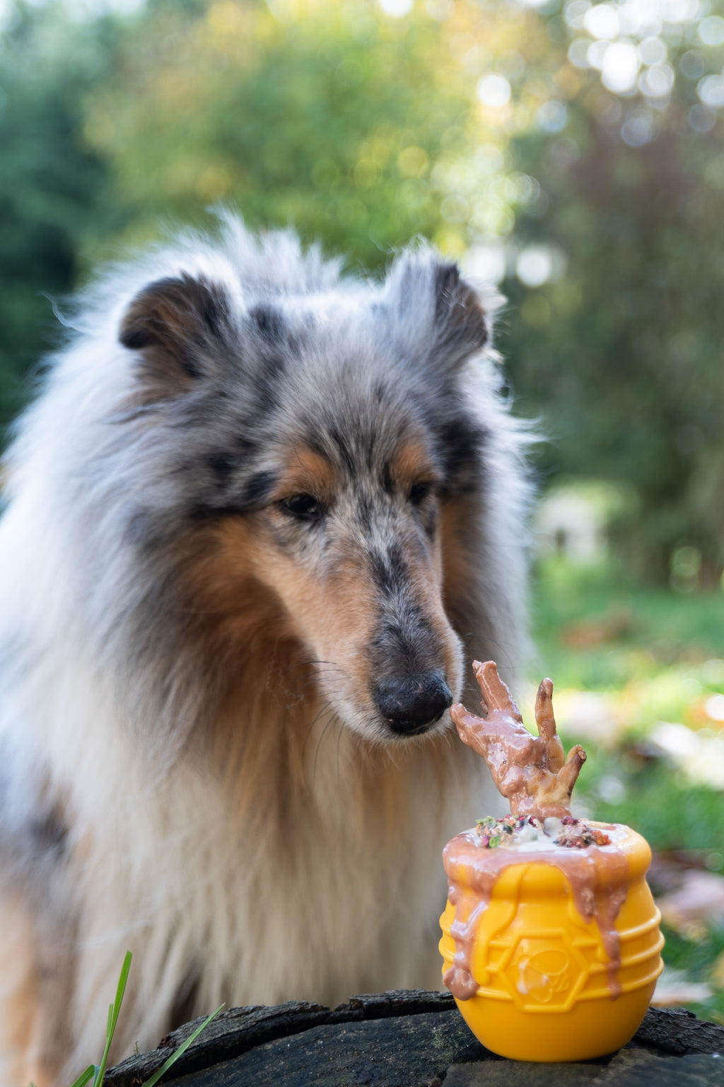 Distributeur de friandises Pot de miel Jaune