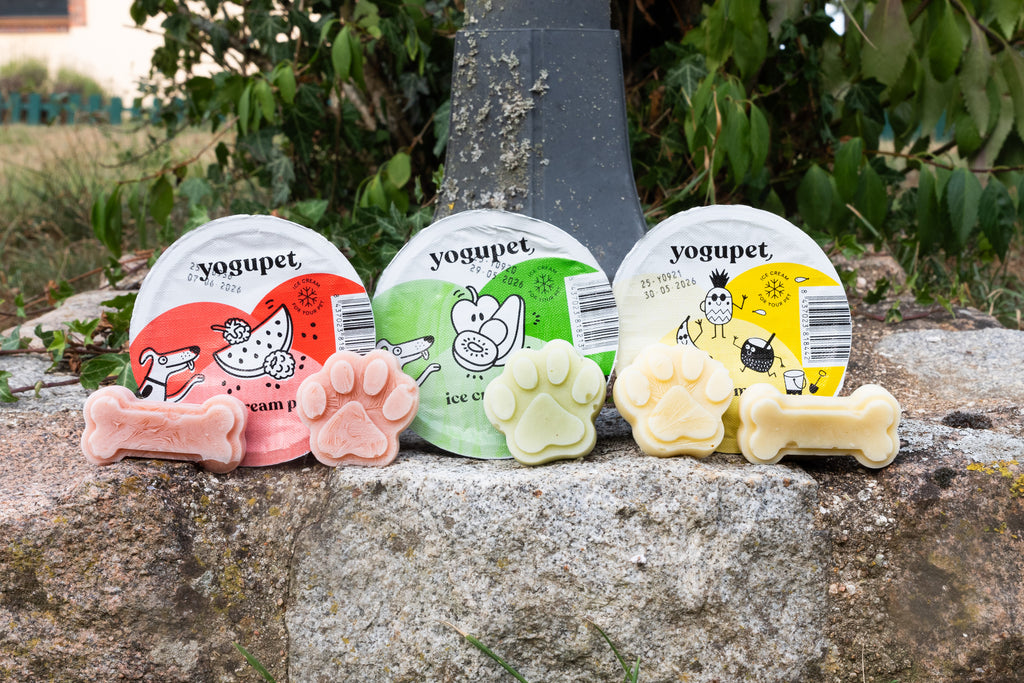 Glace Façon Piña Colada 🥥🍍🍌 - Yogupet