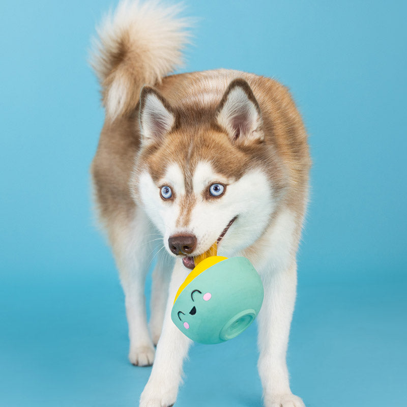 Jouet en Latex "Bol Gourmand" pour ChiensJouet en Latex "Bol Gourmand" pour Chiens