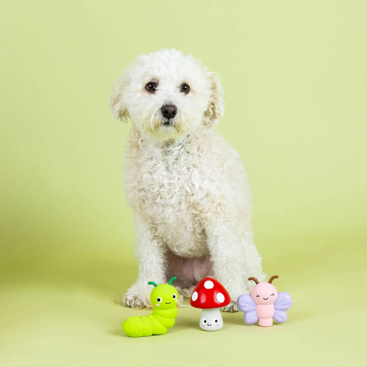 3PC Mini jouet pour chien nature en Latex 🍄🦋🐛