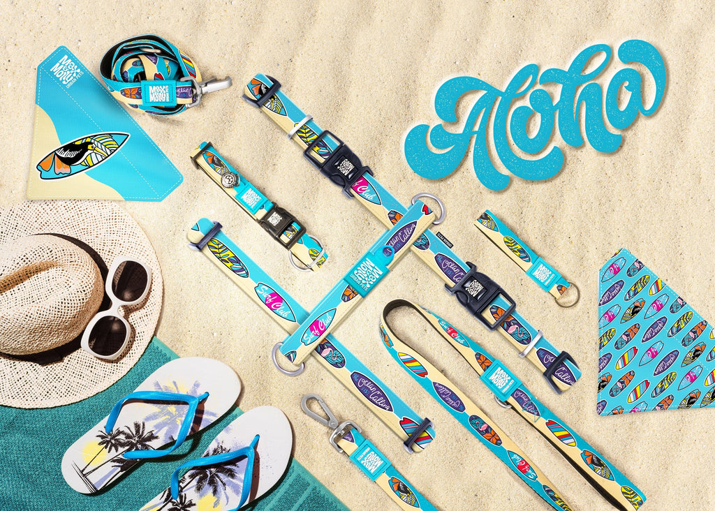 Harnais Aloha de Max & Molly