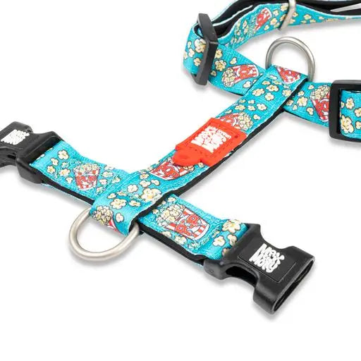 Harnais Pop Corn de Max & Molly