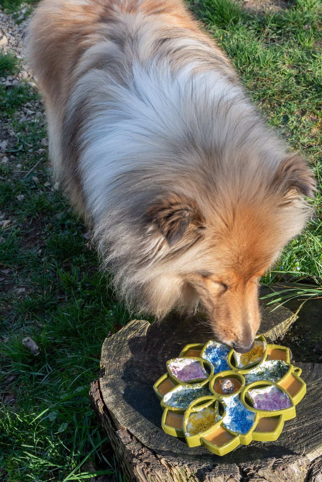 Gamelle anti glouton Mandala