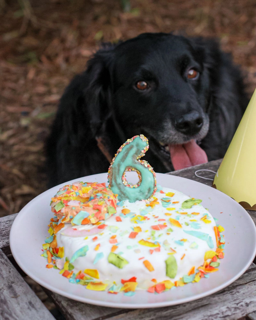 Gâteau en Boîte pour chiens Krill