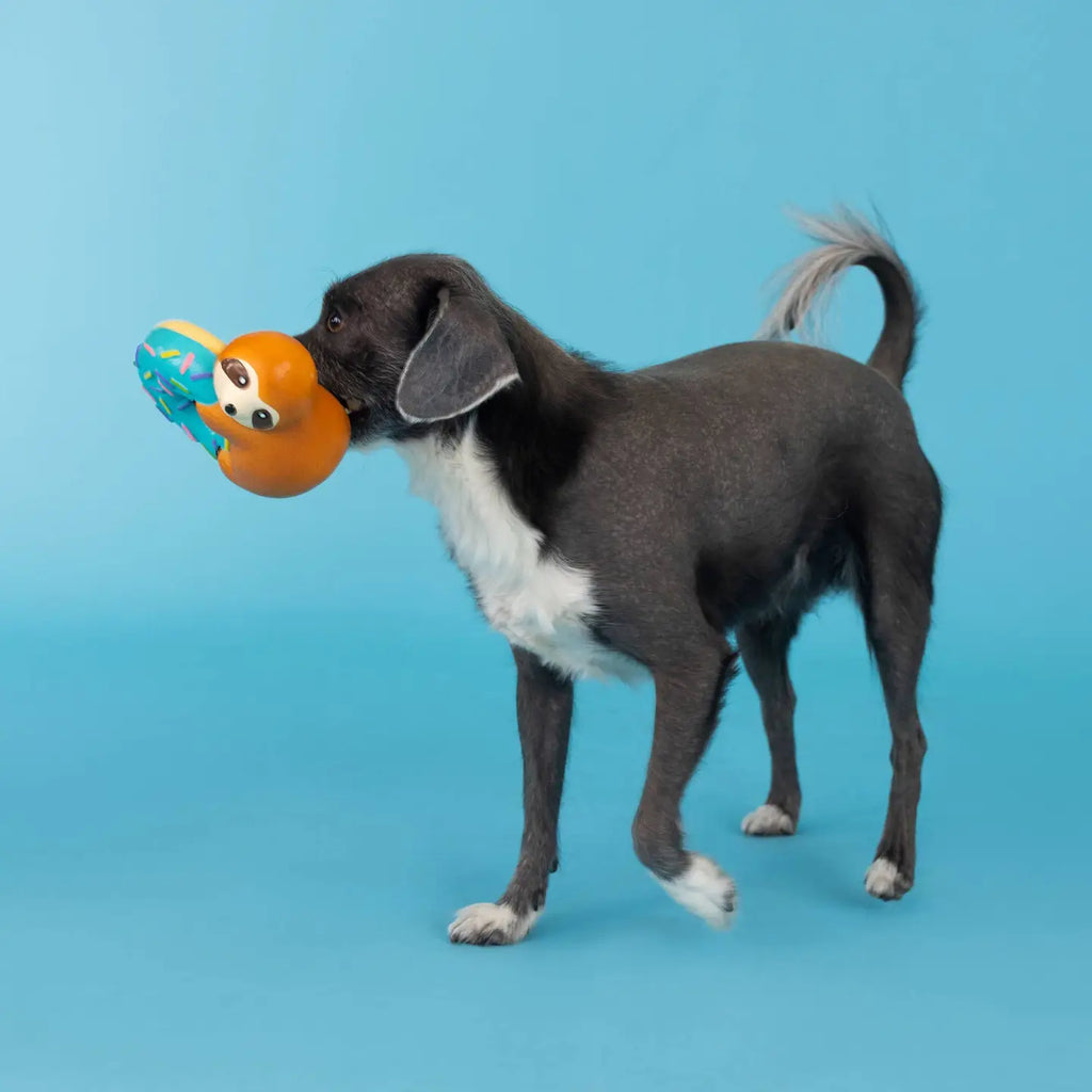 Jouet pour chien en latex "adorable paresseux" 🦥