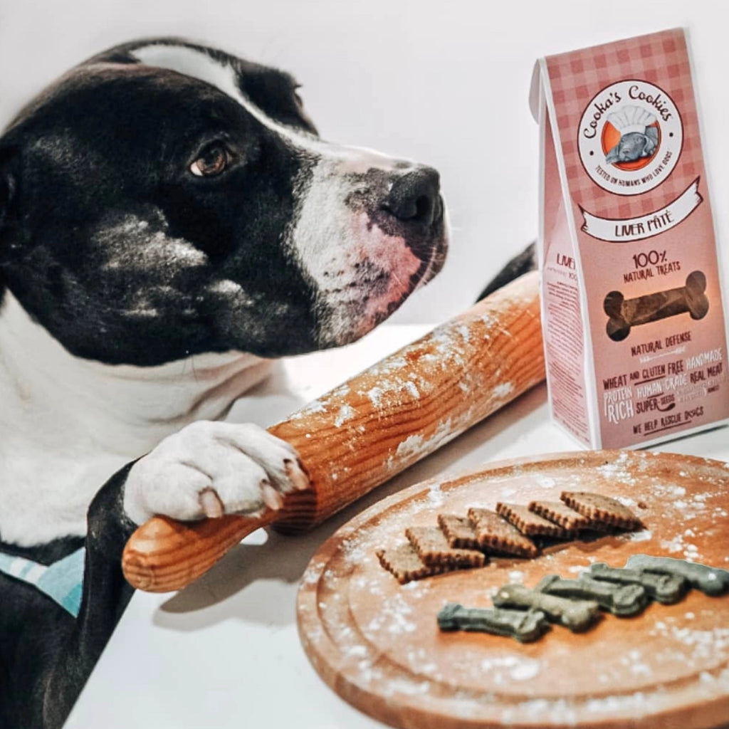 Carrés de foie