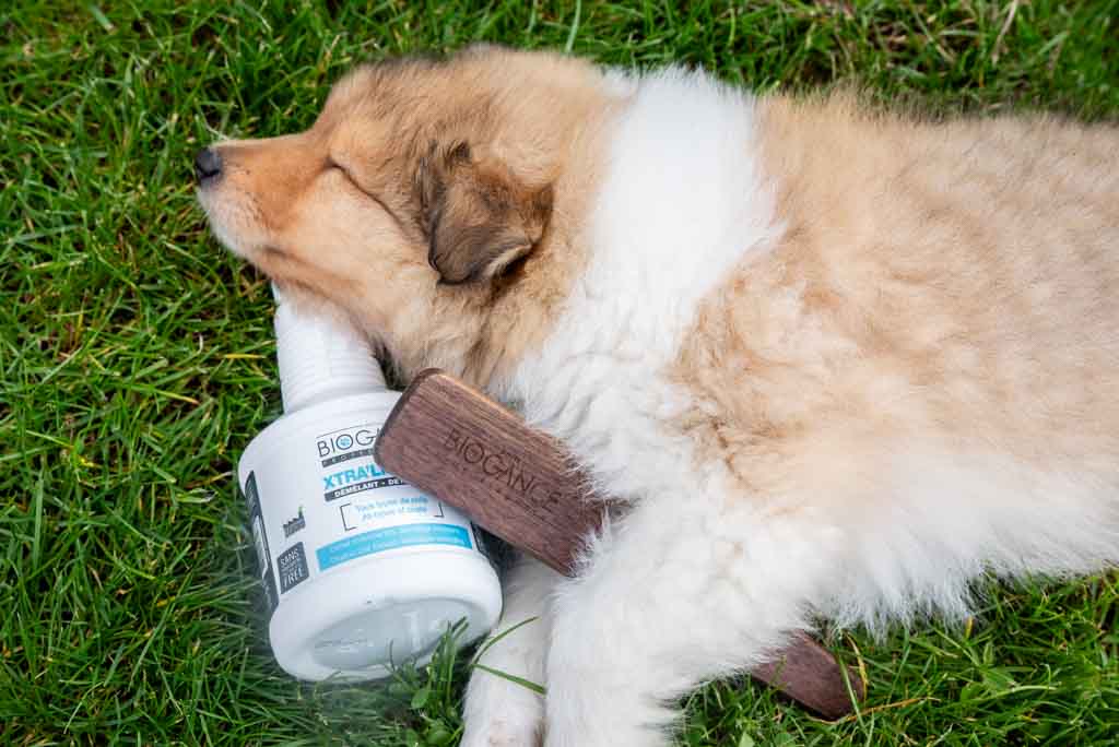 Démêlant Poils Longs Xtra’Liss 500ml