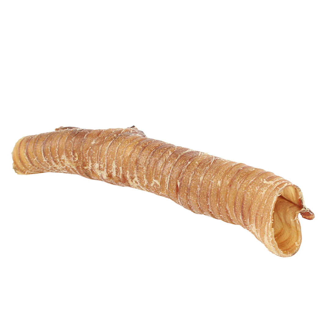 Trachée de bœuf 25 cm