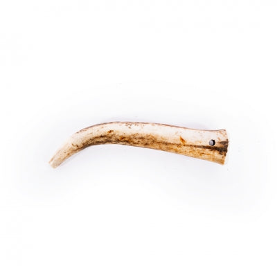 Bois de cerf entier pour chien