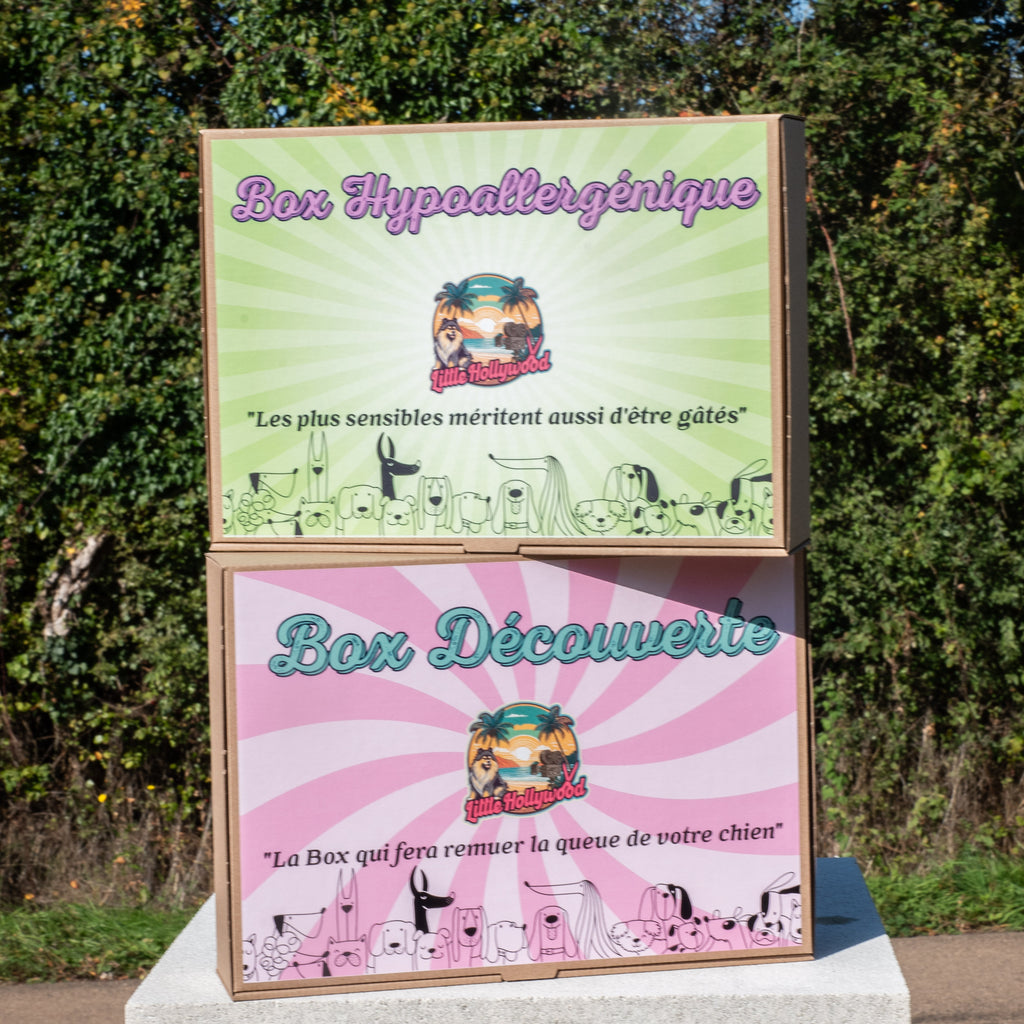 Box Hypoallergénique