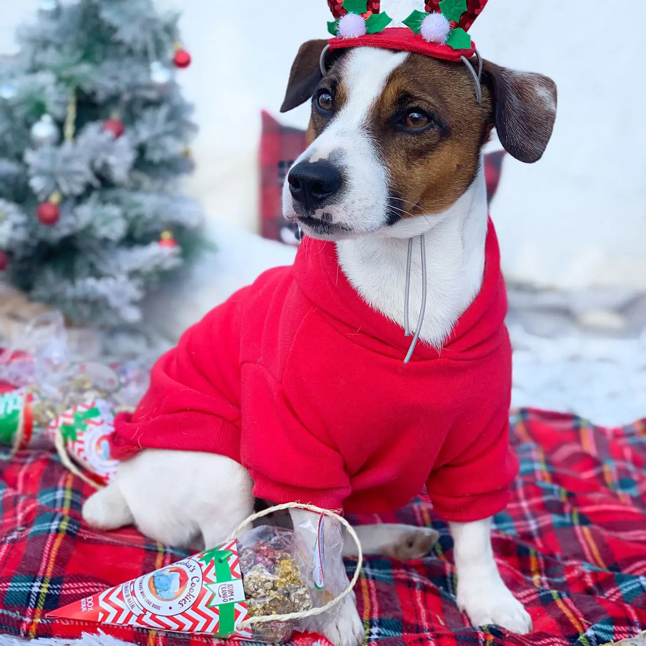 Boules de Noël - Poulet et thon -