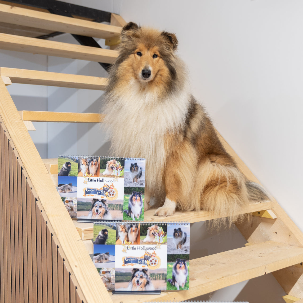 Calendrier Muraux Little Hollywood 2026