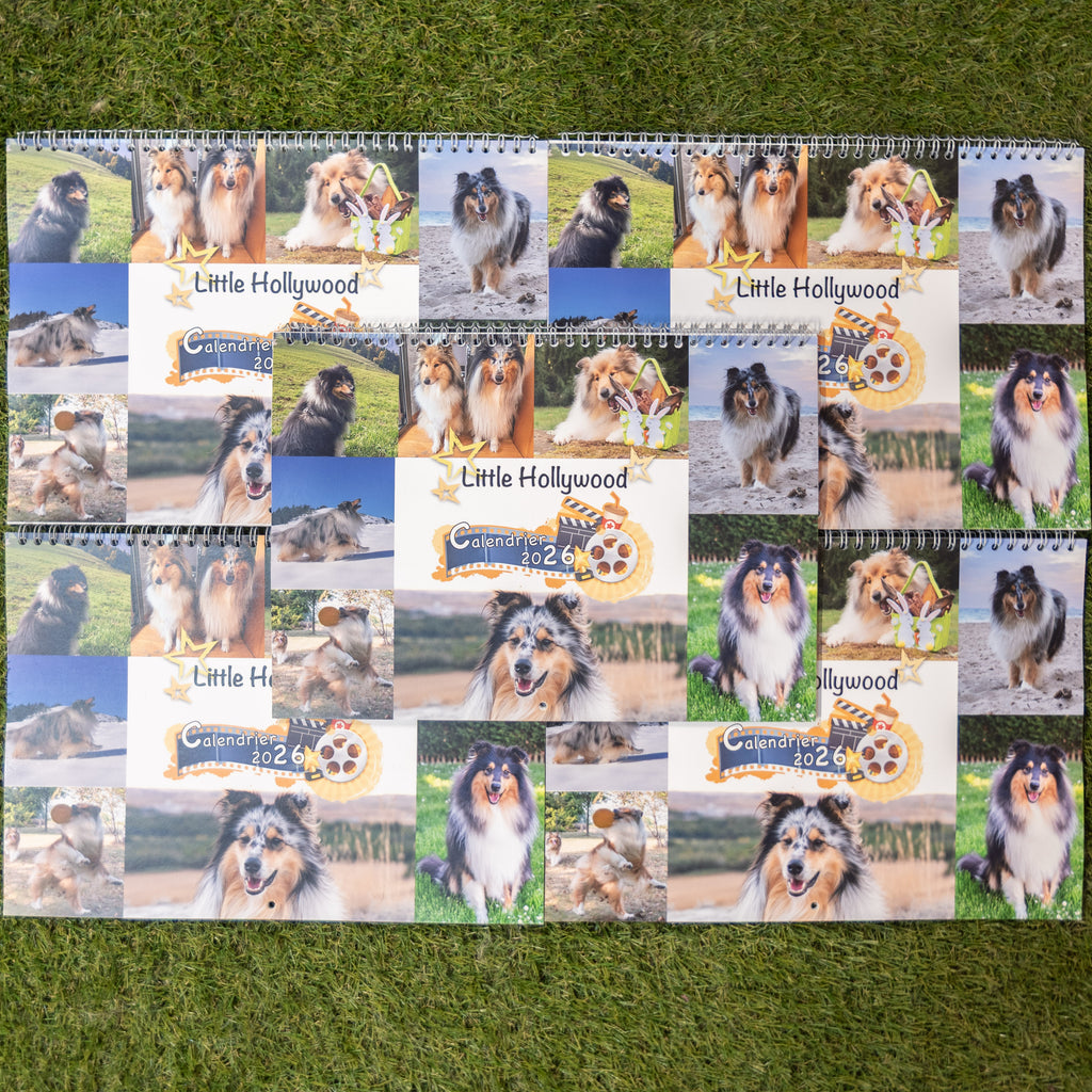 Calendrier Muraux Little Hollywood 2026