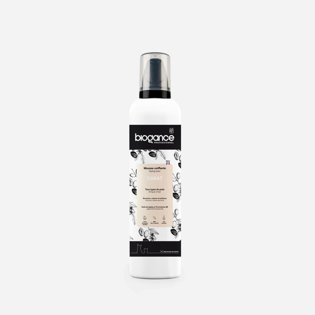 Mousse Coiffante professionnelle Carat