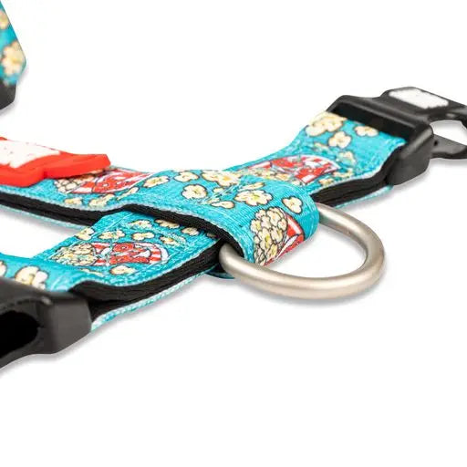 Harnais Pop Corn de Max & Molly