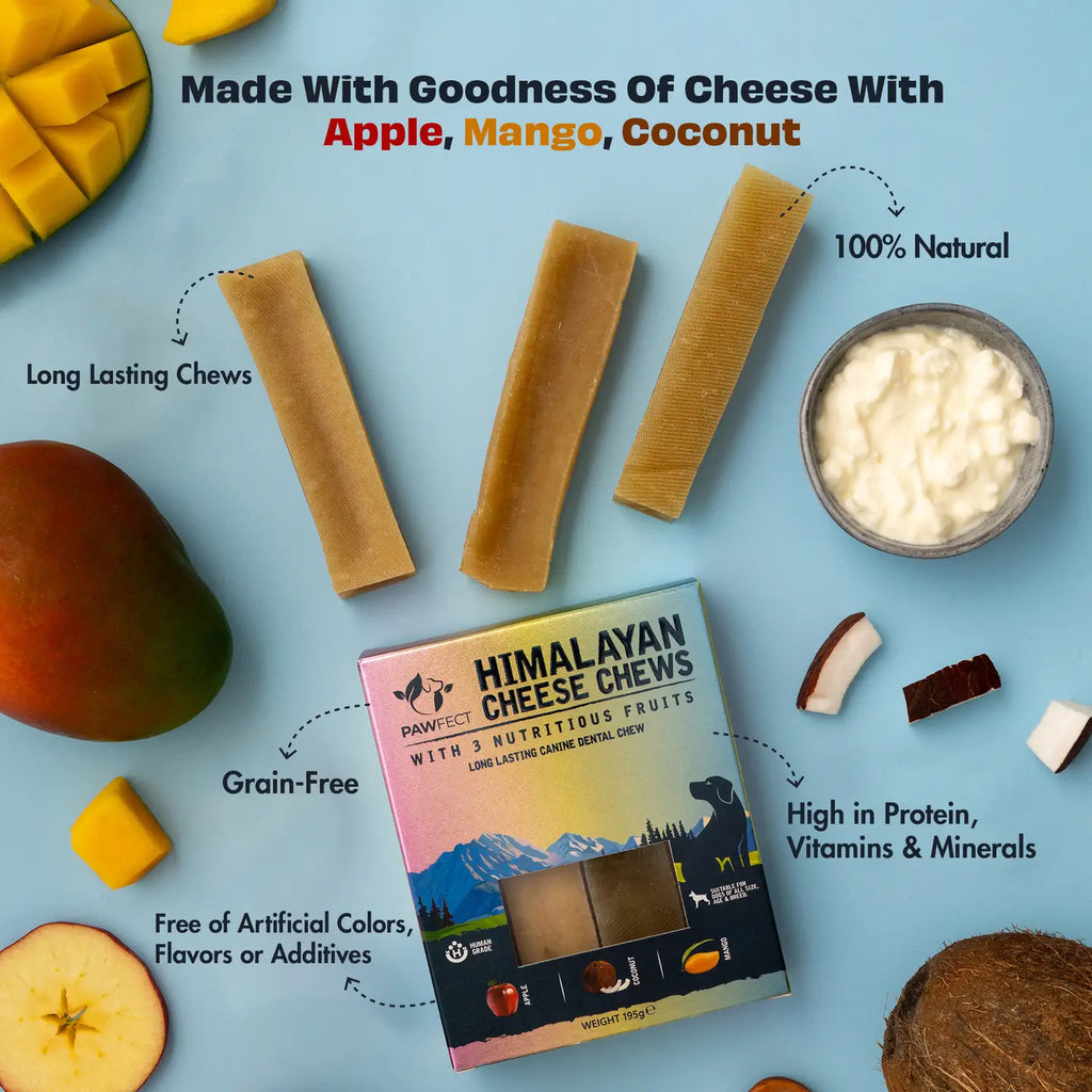 Bâtonnet au fromage de Yak Multifruits taille S