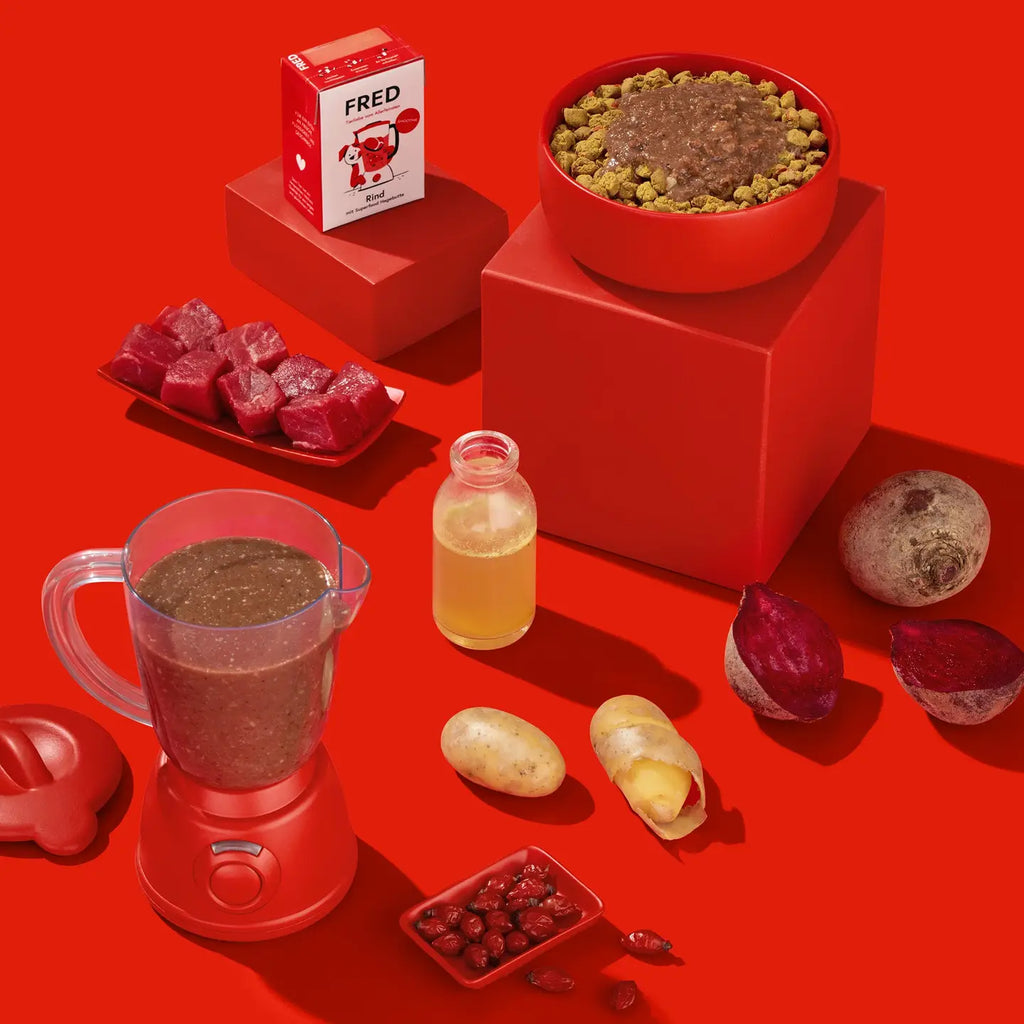 FRED Smoothie Bœuf