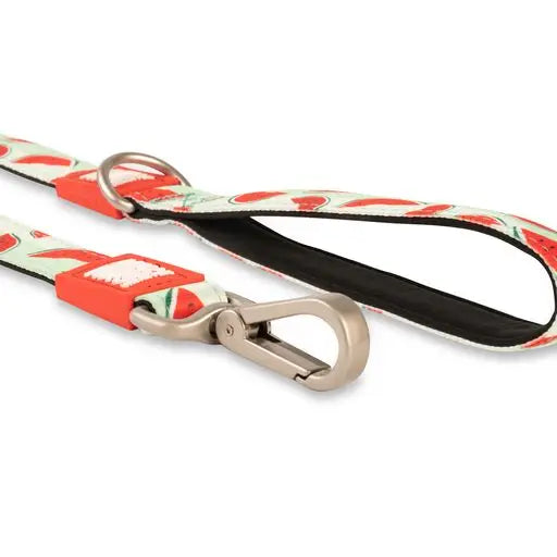 Laisse Max & Molly Pasteque