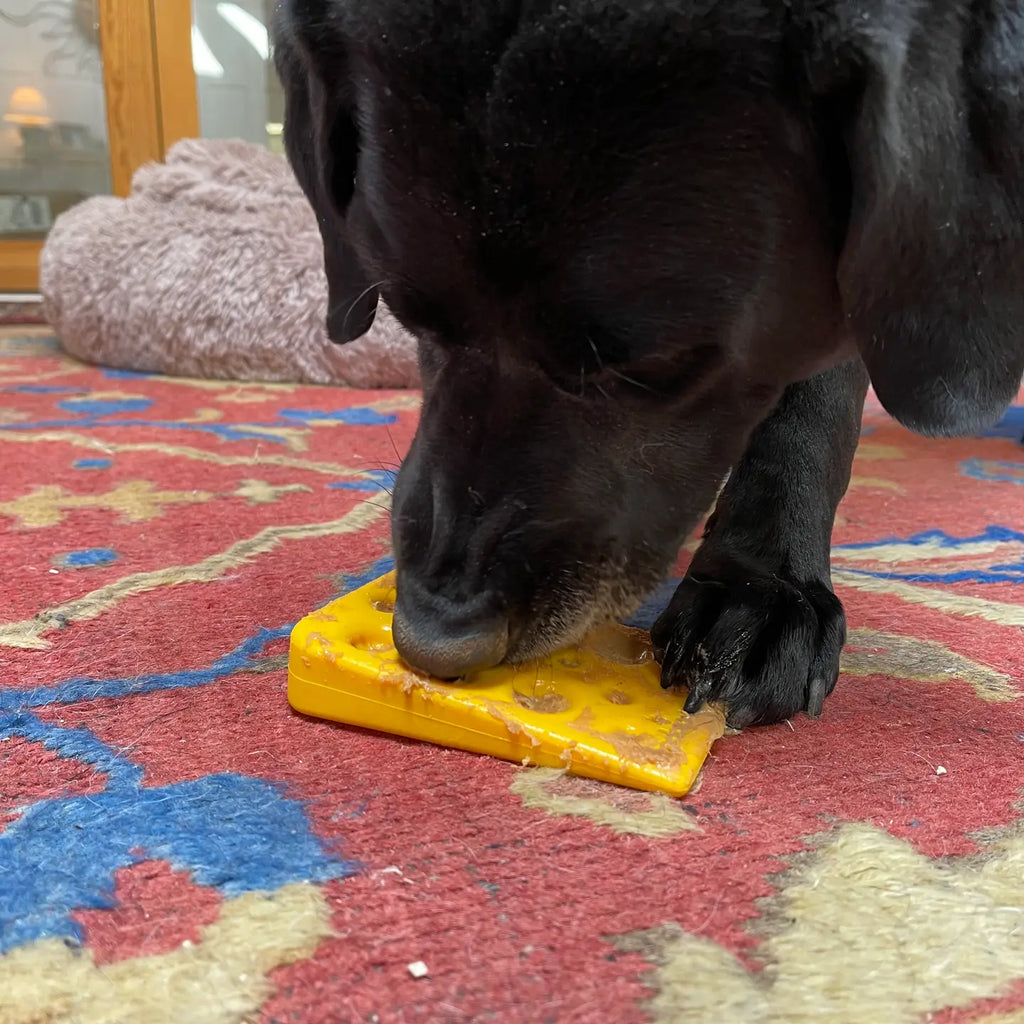 Jouet à mâcher et enrichir en nylon Fromage 🧀