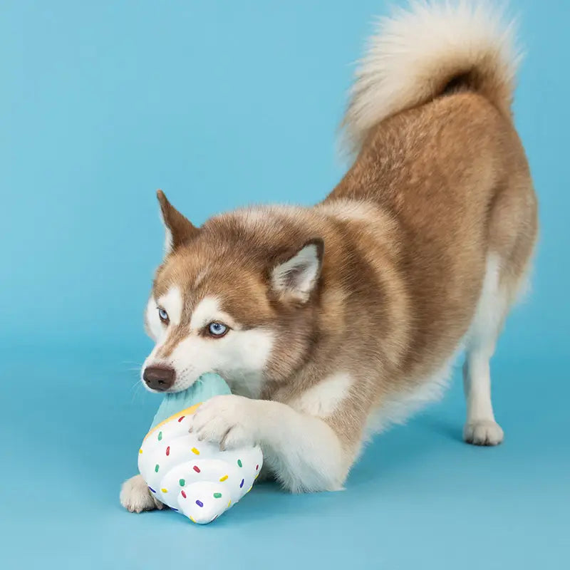 Jouet en Latex "Cupcake" pour Chiens