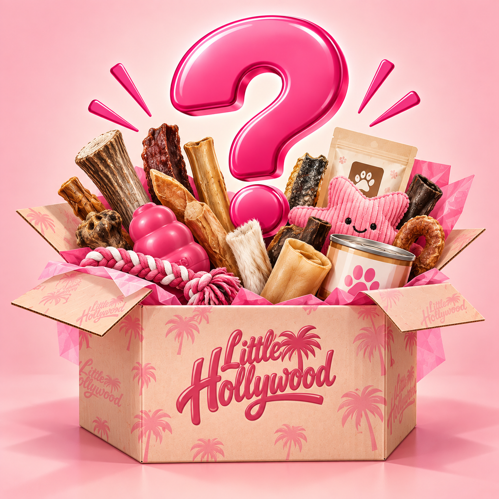 🎁 LA BOX MYSTÈRE