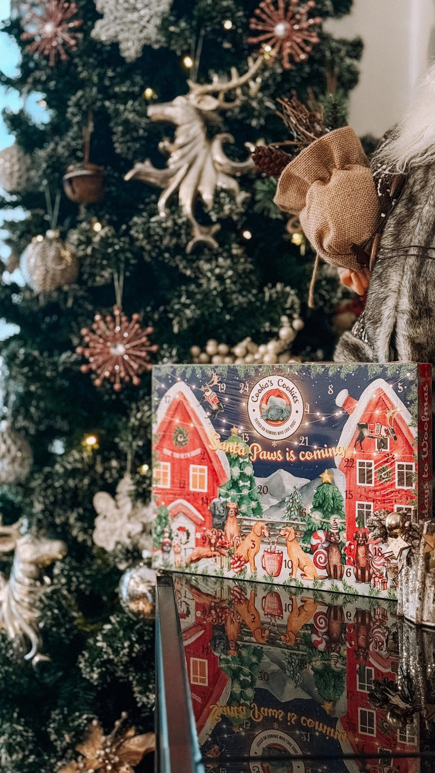 Calendrier de l'Avent de Noël pour chiens (édition premium)