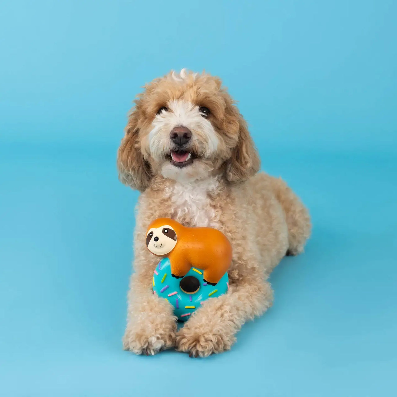 Jouet pour chien en latex "adorable paresseux" 🦥