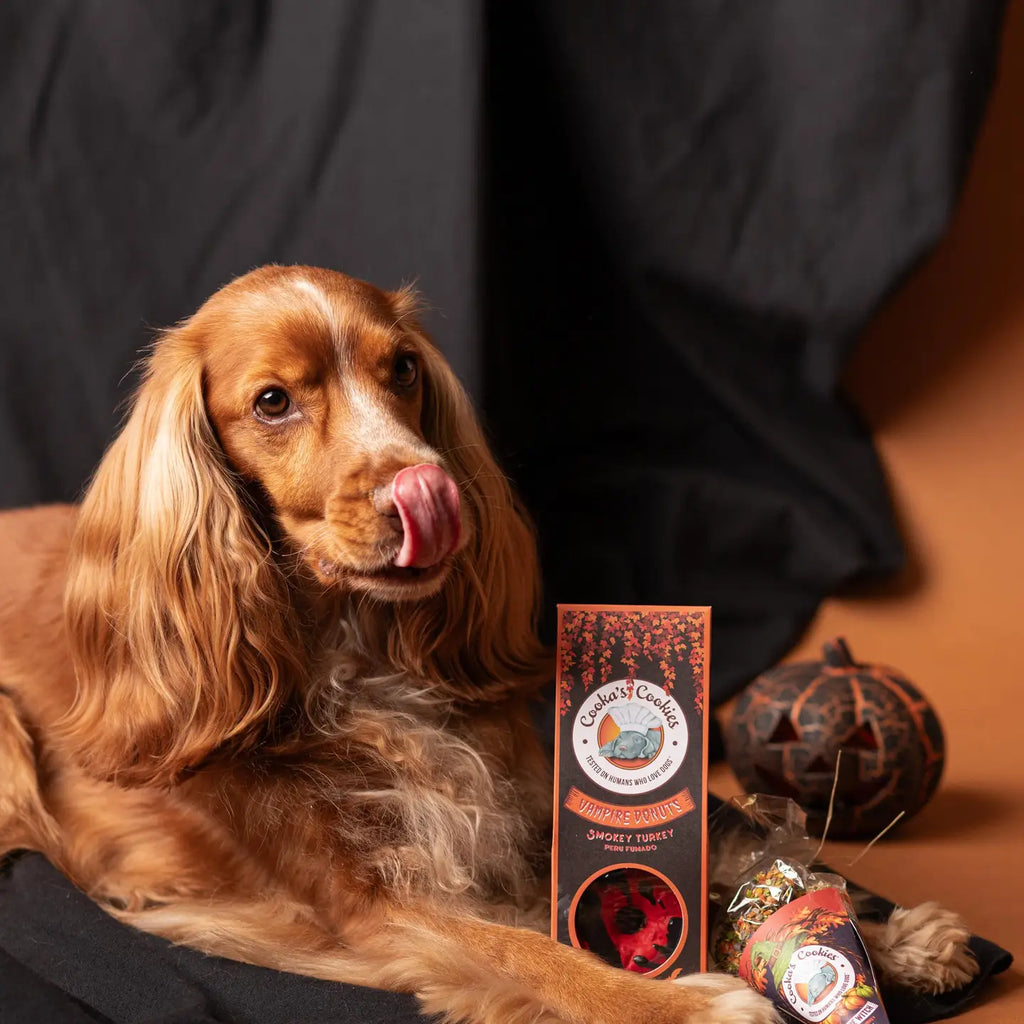 Beignets aux vampires - Friandises d'Halloween pour chiens