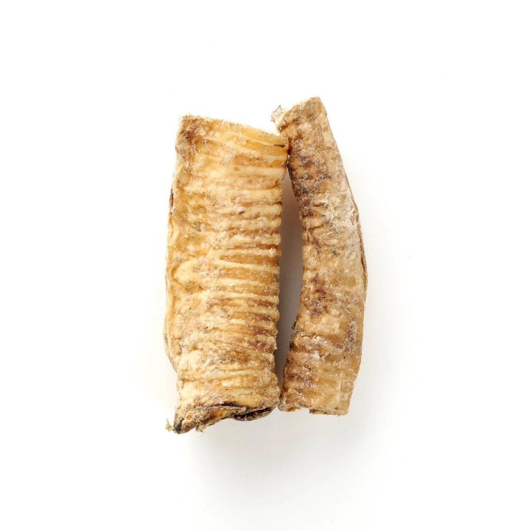 Trachée de chameau séchée