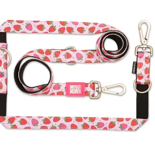 Laisse triple point Max & Molly Fraises