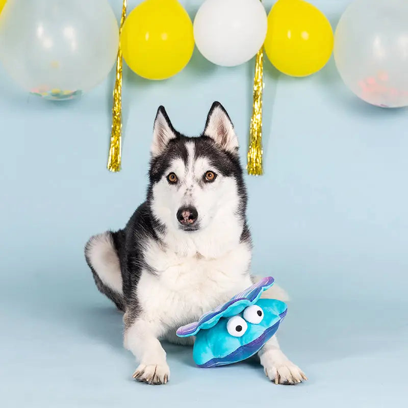 Jouet Peluche "Coquillage Rigolo" pour Chiens