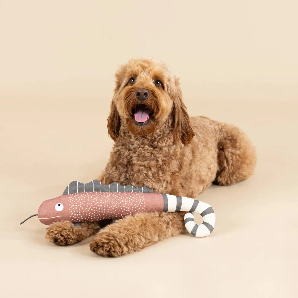 Jouet Pour chien squeaker "One in a chameleon"